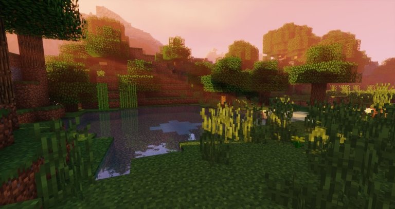 Sildurs Shader for Minecraft 1.16.5 1