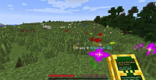 Botania Mod 1.16.5 | 1.15.2 - Mod Minecraft download - Screenshot 3