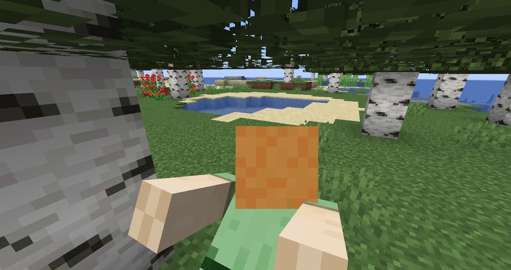 MJs Animations Mod 1.16.5 - Mod Minecraft download - Screenshot 2