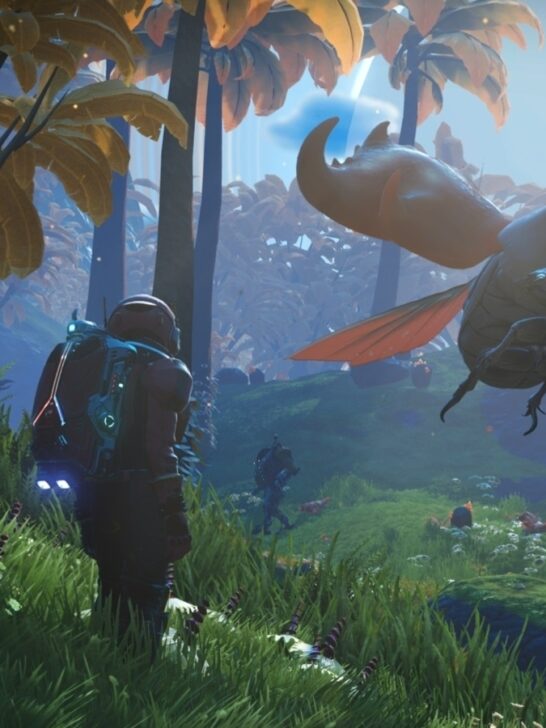 nms frigate guide nms frigate guide