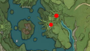 Genshin Impact Rukkhashava Mushroom