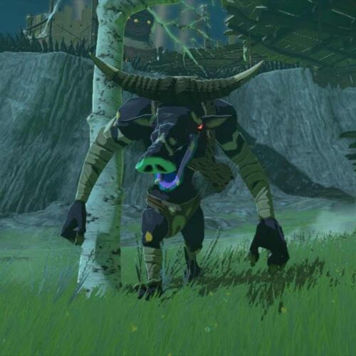 tears of the kingdom Moblin Guts