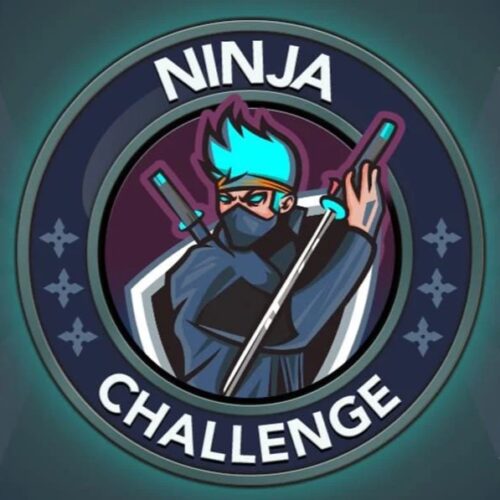 bitlife ninja challenge