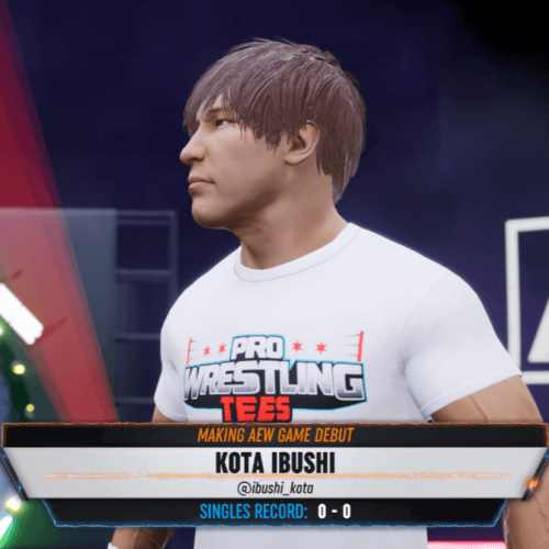 Best AEW Fight Forever CAW Formulas