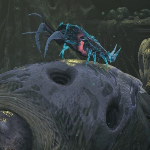 Primogenitor Remnant 2