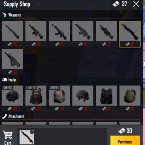 equip 2 firearms with full attachments at the same time