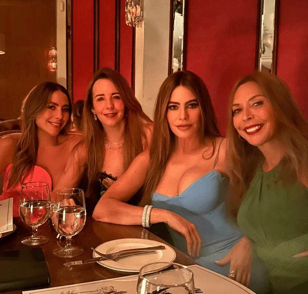 As Sofia Vergara posed for a group photo at a fancy dinner out with friends, she showed off her enviable figure in a skintight dress.