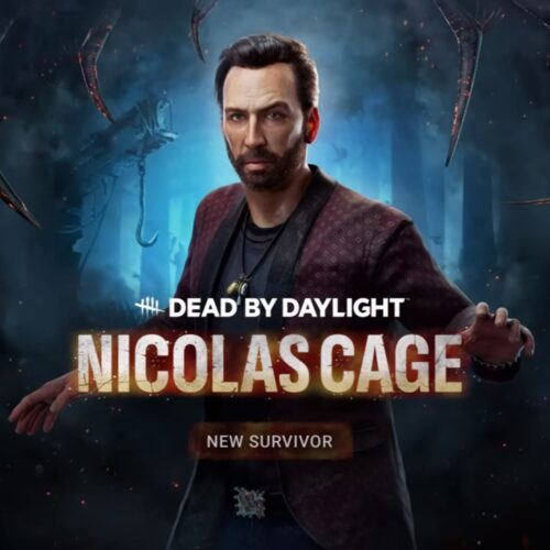 nicolas cage best perk builds