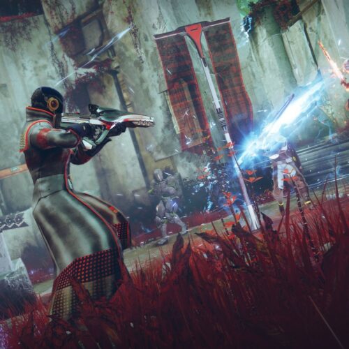 Destiny 2 Baboon Error Code