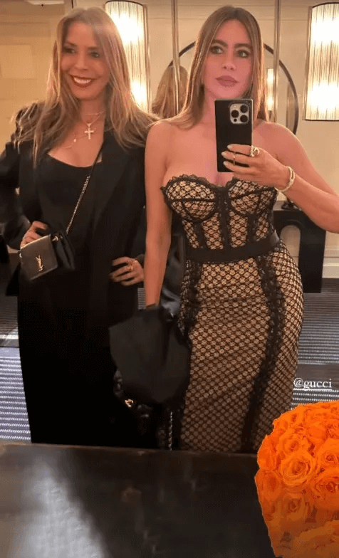 New photos of Sofia Vergara reveal a very risqué dress nearly leading to wardrobe malfunction