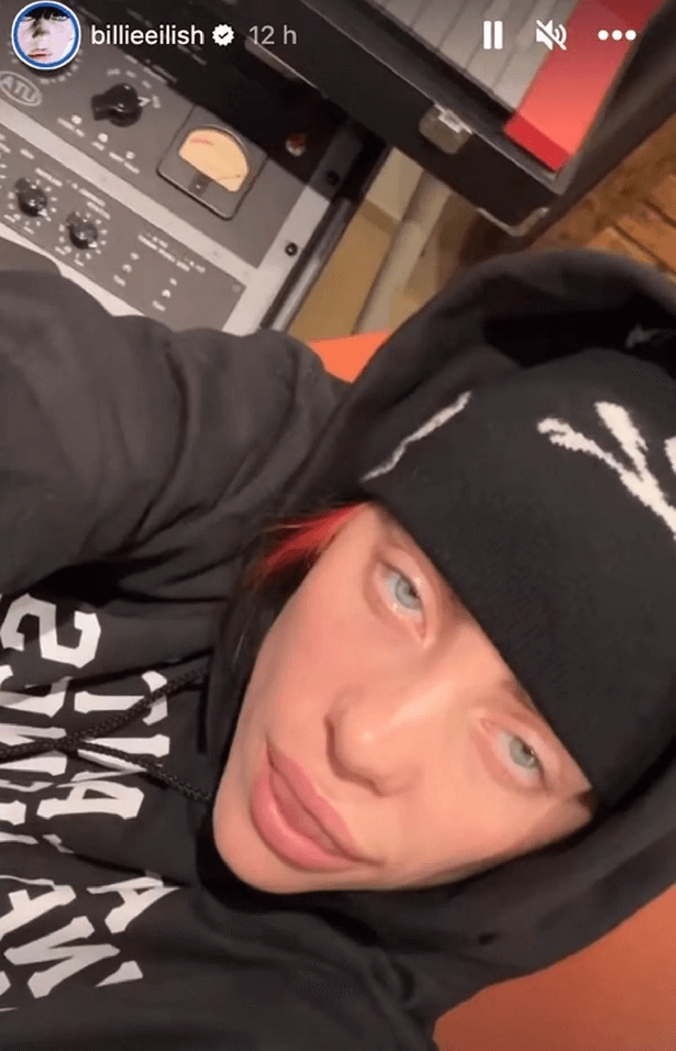 A black beanie hat had been slid underneath her hood, covering her iconic black and red roots, and Billie licked her lips as she zoomed in on her face.