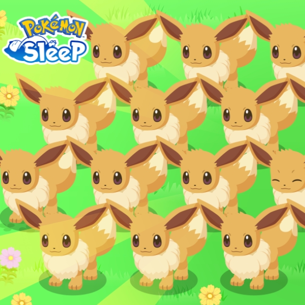 Pokemon Sleep Eevee Week