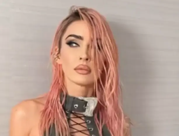 Actress Megan Fox goes braless as she bursts out of a lace-up grey corset top and matching knickers