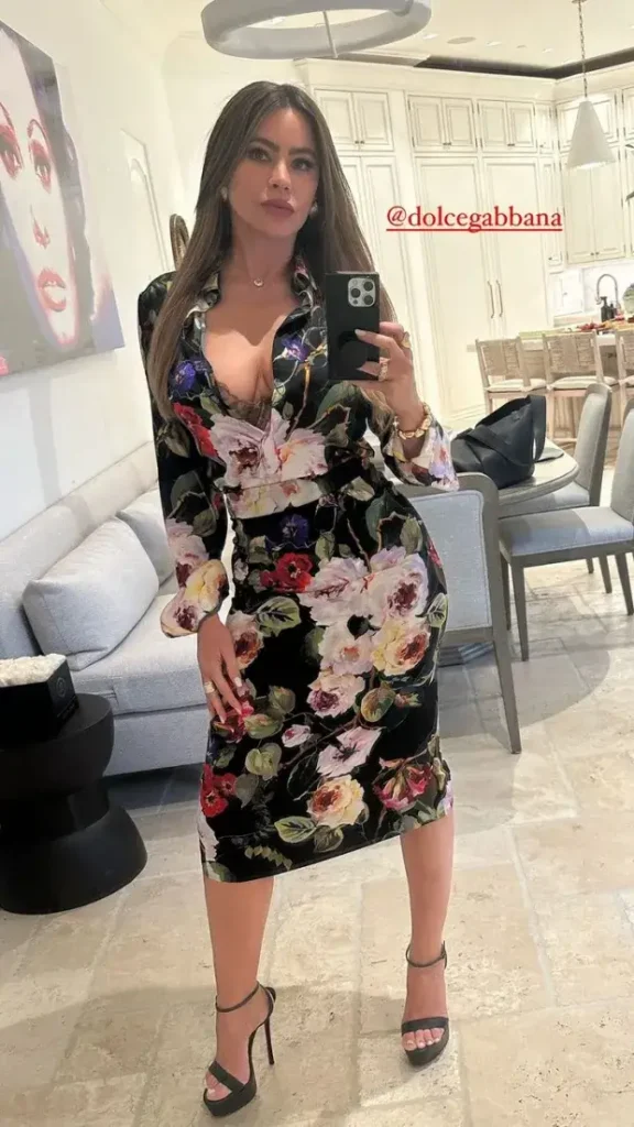 Sofia Vergara posted an outfit-of-the-day post to her Instagram Stories on Wednesday showing off her ageless figure in a skintight flower print dress.