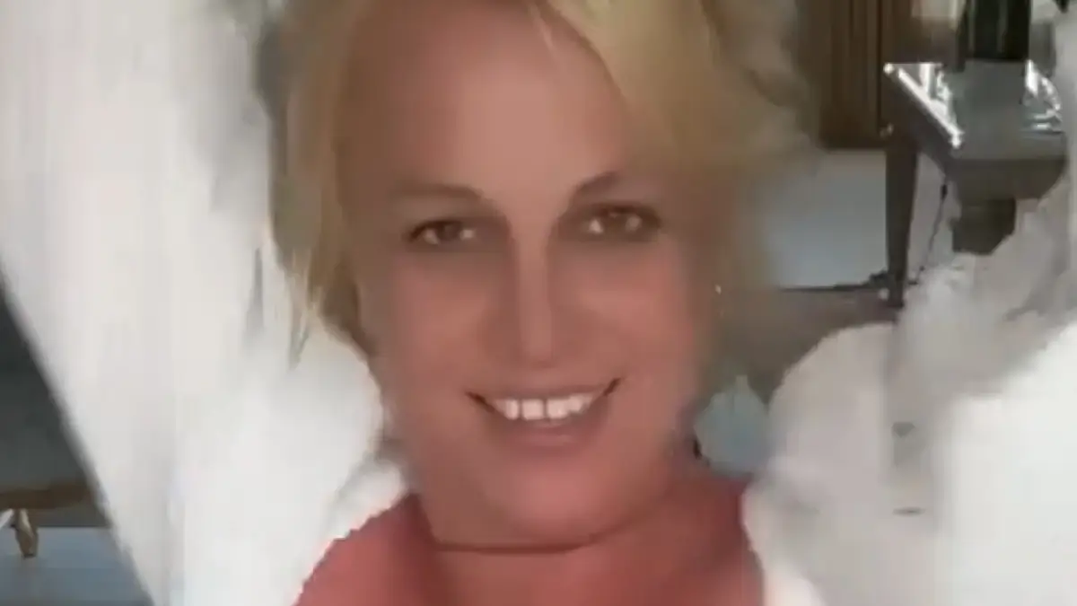 In tiny shorts and a crop top, Britney Spears showed off her real stomach as she danced wildly, asked fans not to judge her