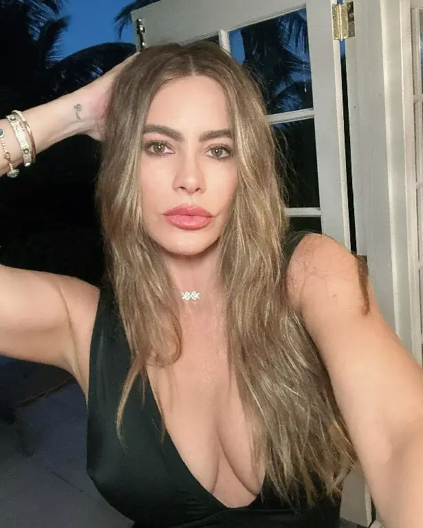 Another selfie was added, this time with Sofia's hand behind her head and fans could see dark blue night skies and tall palm trees behind her open patio door.
