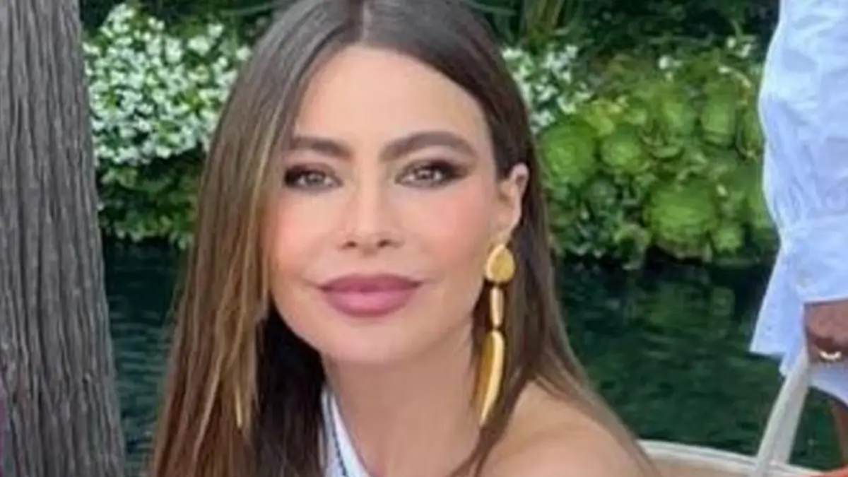 On the red carpet, Sofia Vergara wore a plunging orange wiggle dress to showcase her hourglass body and impressive cleavage