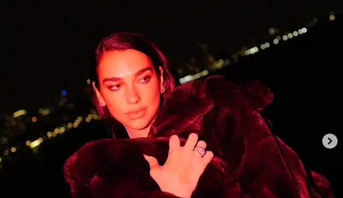 Dua Lipa, 29, Declares Lingerie Party-Appropriate In Bold Lace Suspenders Look