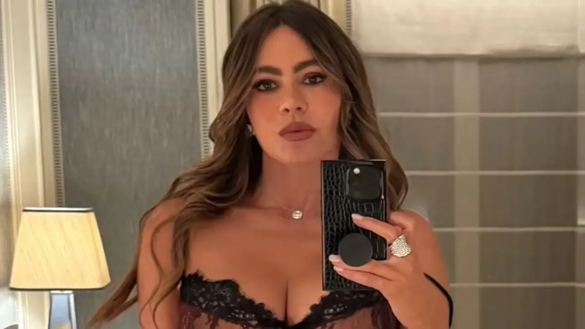 Sofia Vergara confidently showed off her figure in a daringly low-cut maroon lace corset, accentuating her ample cleavage and leaving little to the imagination