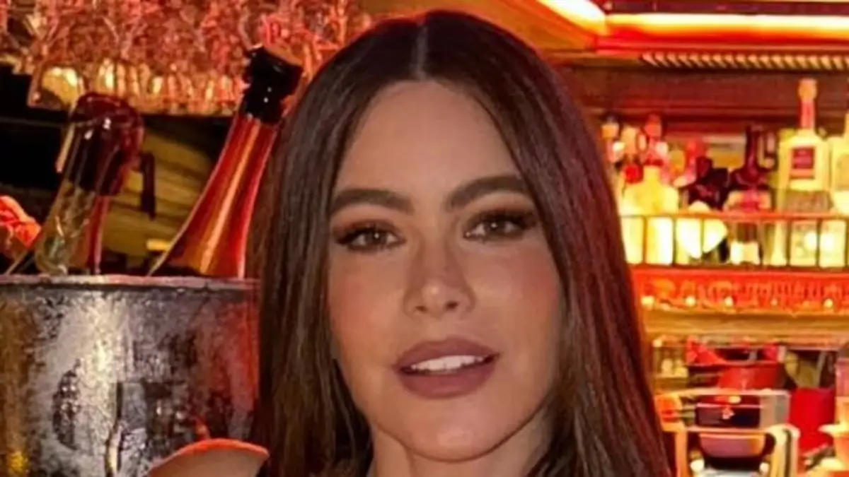 Sofia Vergara posed up a storm with her pals in a semi-sheer red lace bustier top during a fun getaway to Madrid